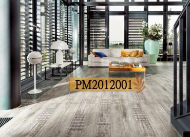 PM2012001